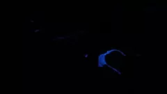 播放 斯嘉丽·约翰逊的强烈黑光青少年恋物幻想